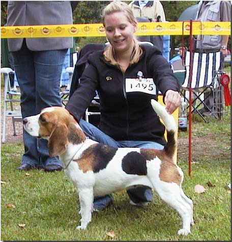 Ginger-winnner open class