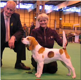 Heaven på Crufts